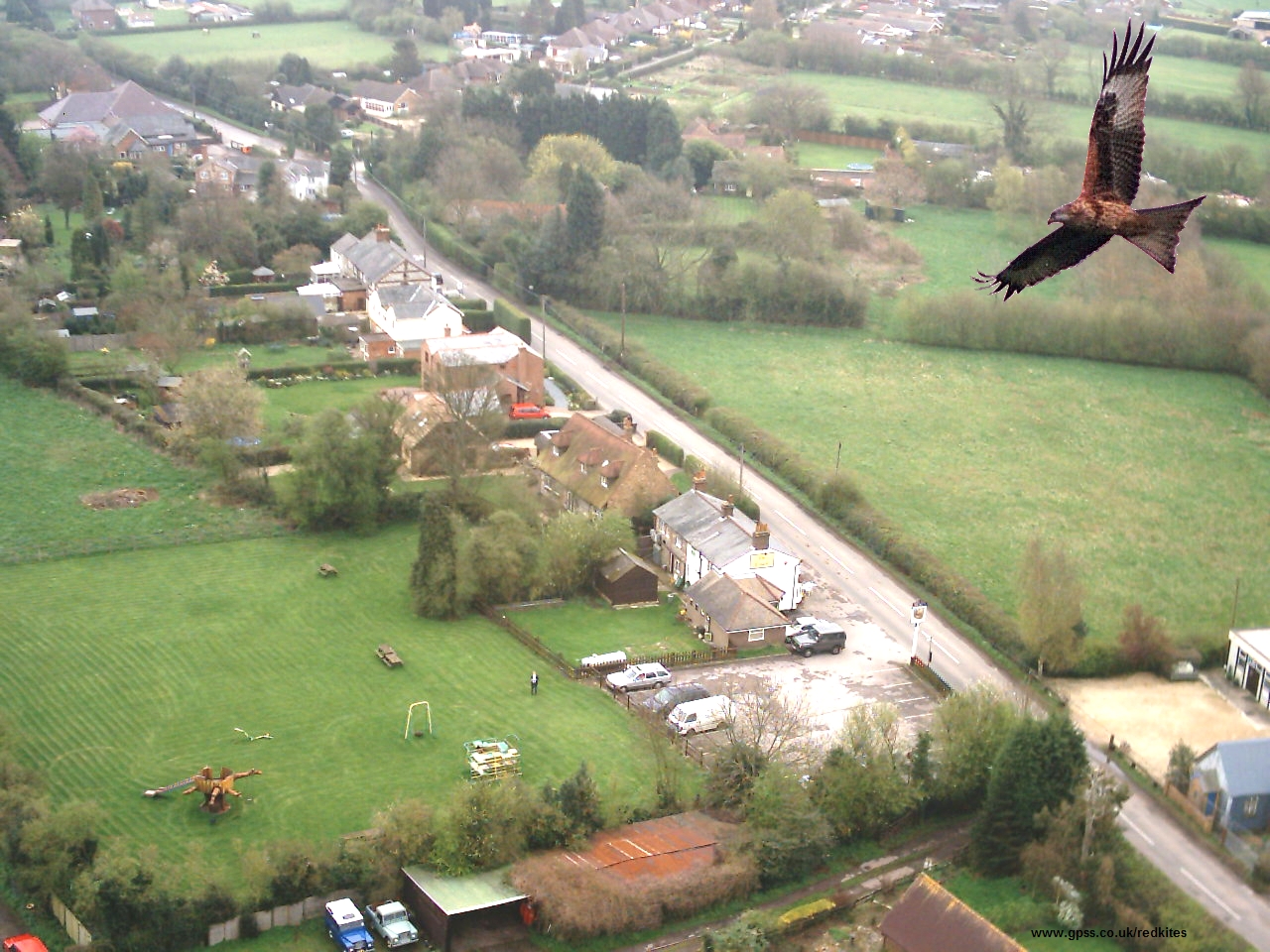 Aerial Recce of Red Kites