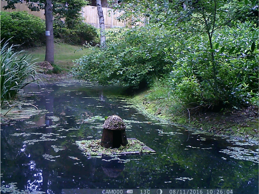 AMRA Pond