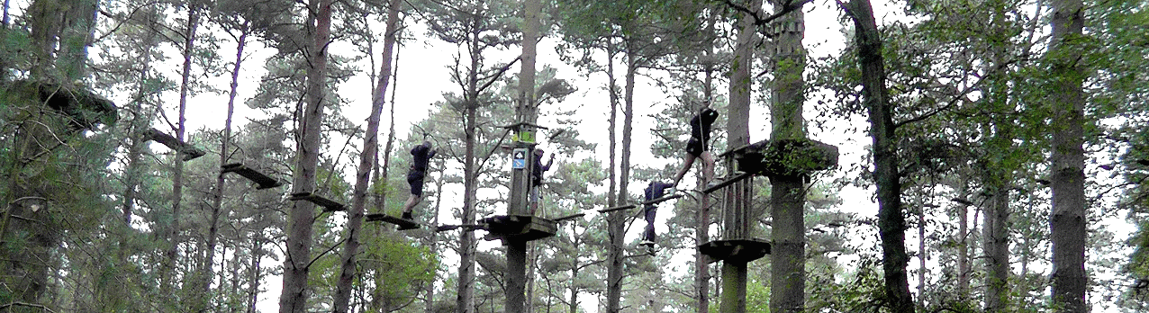 Go Ape near The Lookout