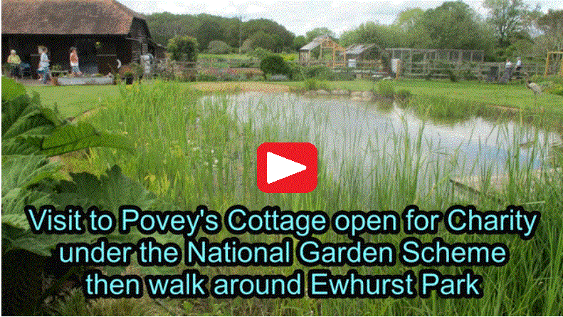 Video of NGS Garden and Ewhurst Park walk