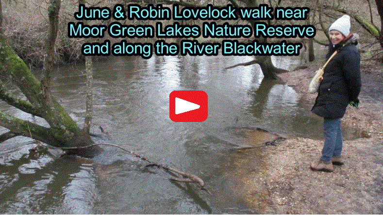 video of Blackwater River and Moor Green Lakes Nature Reserve