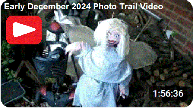 Early December 2024 Photo Trail video