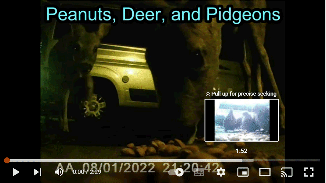 Peanuts, Deer, and Pidgeons