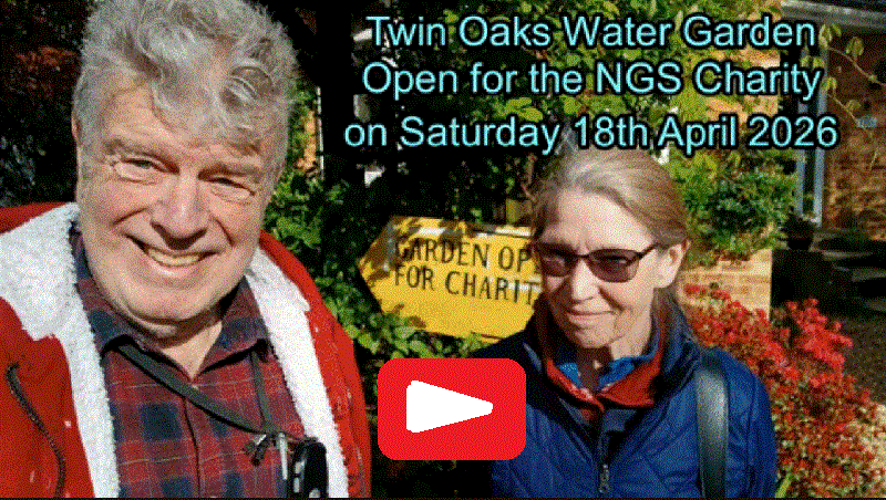  Twin Oaks Water Garden