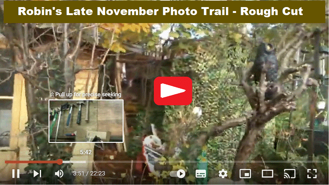 Robin's Late November Photo Trail - Rough Cut