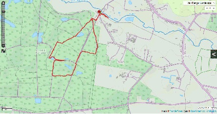 walk in 2020 in Bramshill Forest